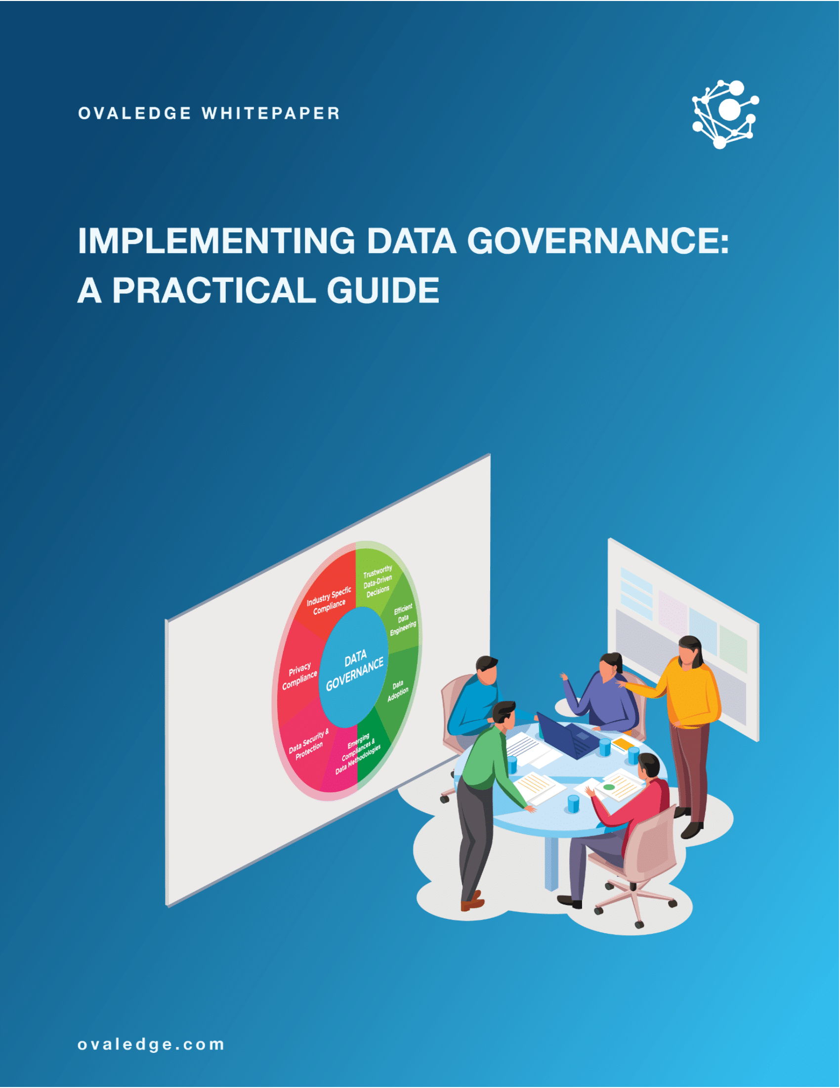 implementing data governance case study